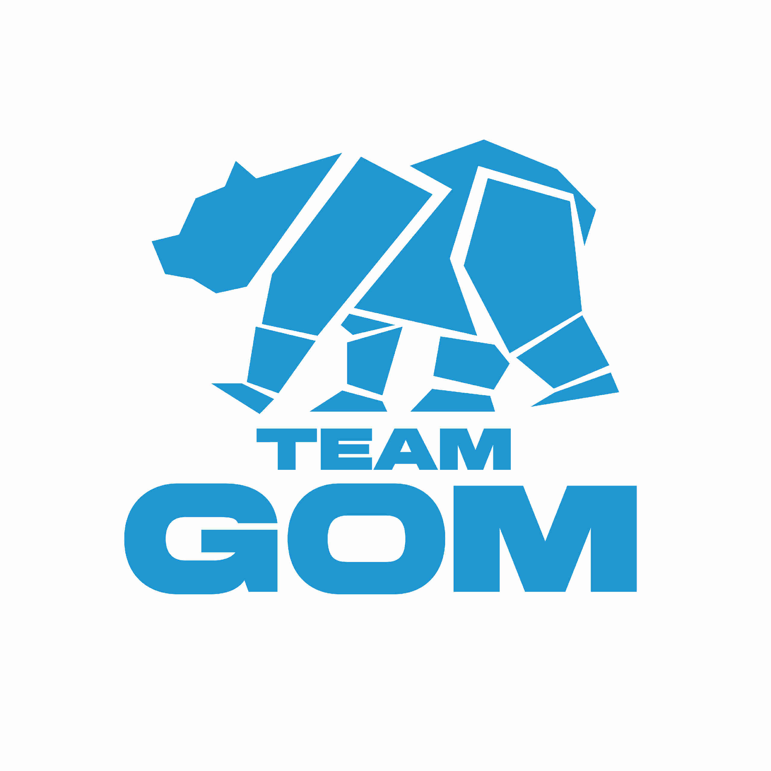 TEAM GOM · 사진 1