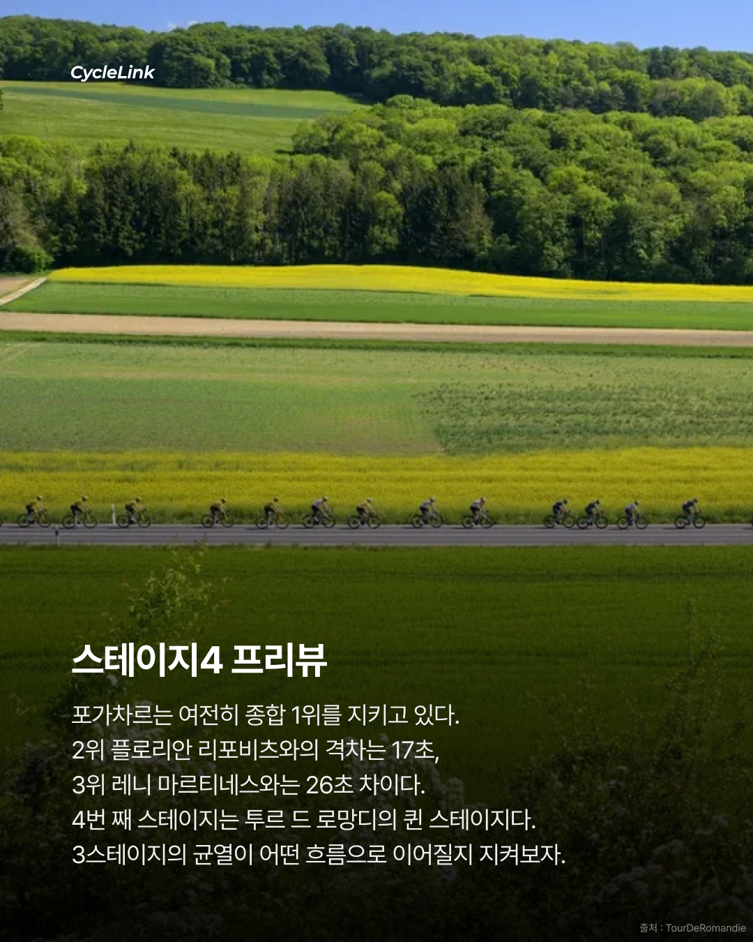 복수에 성공한 고돈 포가차 해트트릭 실패 · 사진 7