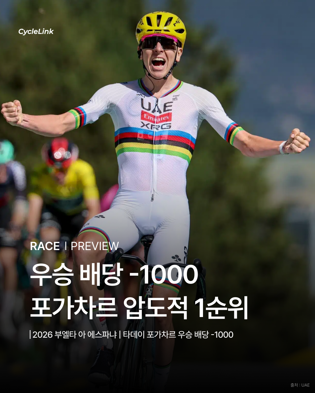 우승 배당 -1000 포가차르 압도적 1순위 · 사진 1