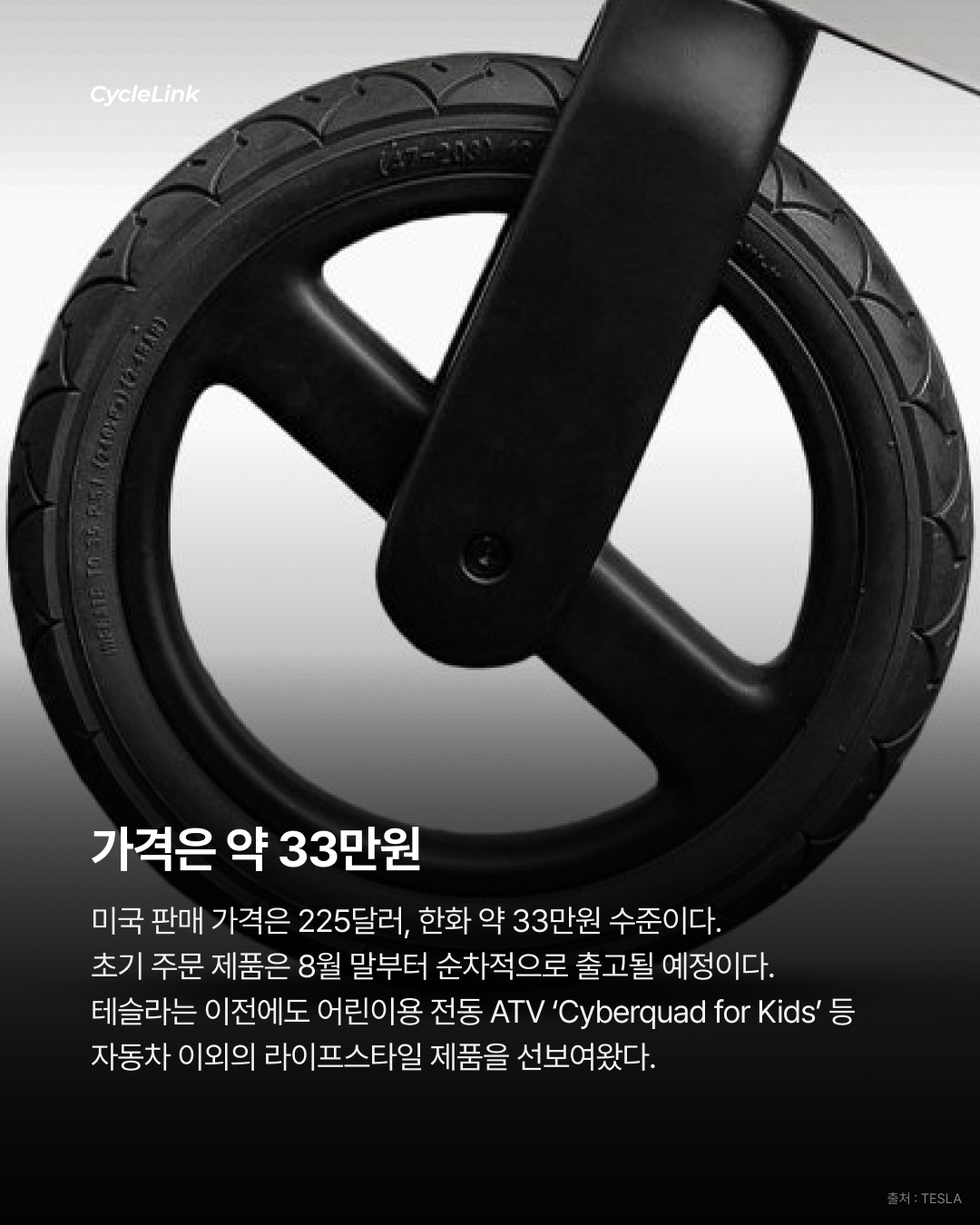 테슬라, 어린이용 ‘밸런스 바이크’ 출시 · 사진 5