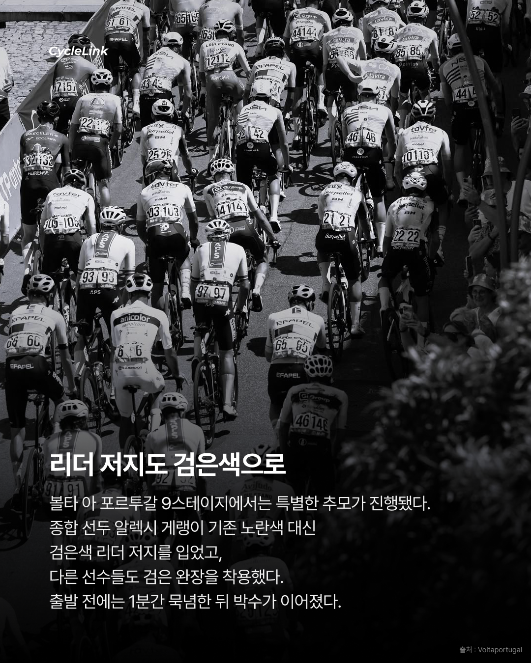 유럽 각지 사이클 대회 핀레이 탈링 추모 이어져 · 사진 3