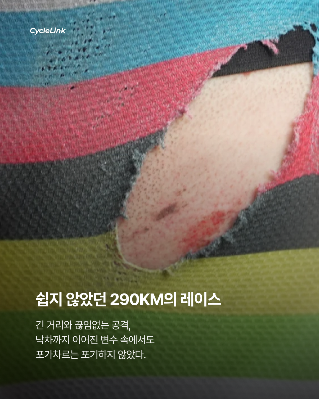 타데이 포가차르, 2026 밀라노-산레모 첫 우승 · 사진 3
