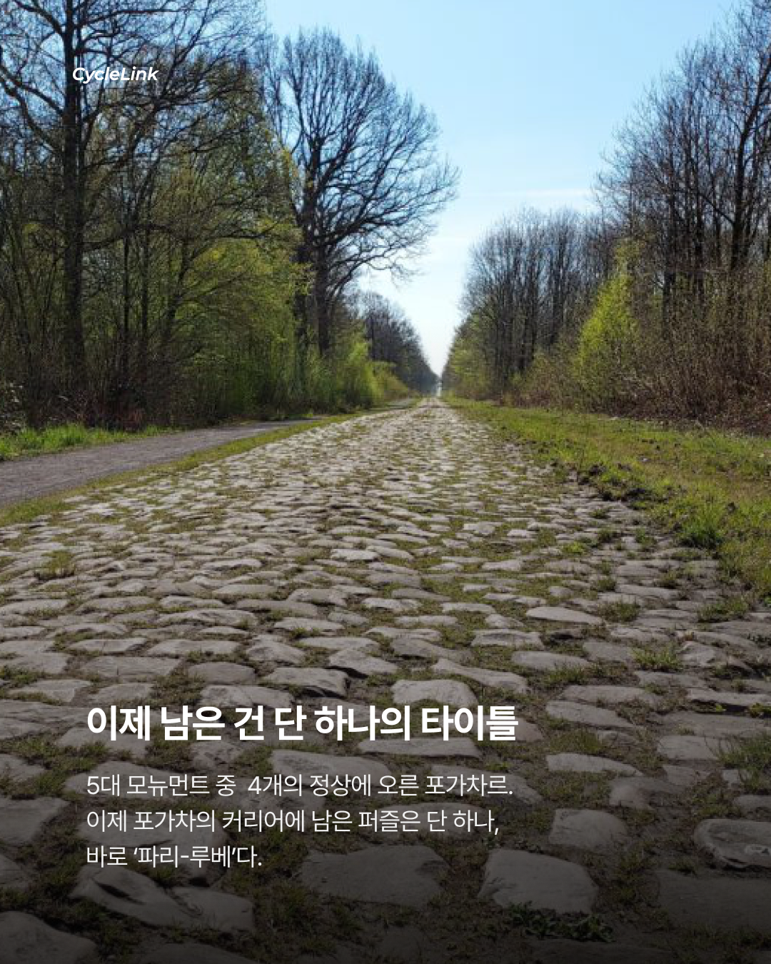 타데이 포가차르, 2026 밀라노-산레모 첫 우승 · 사진 6
