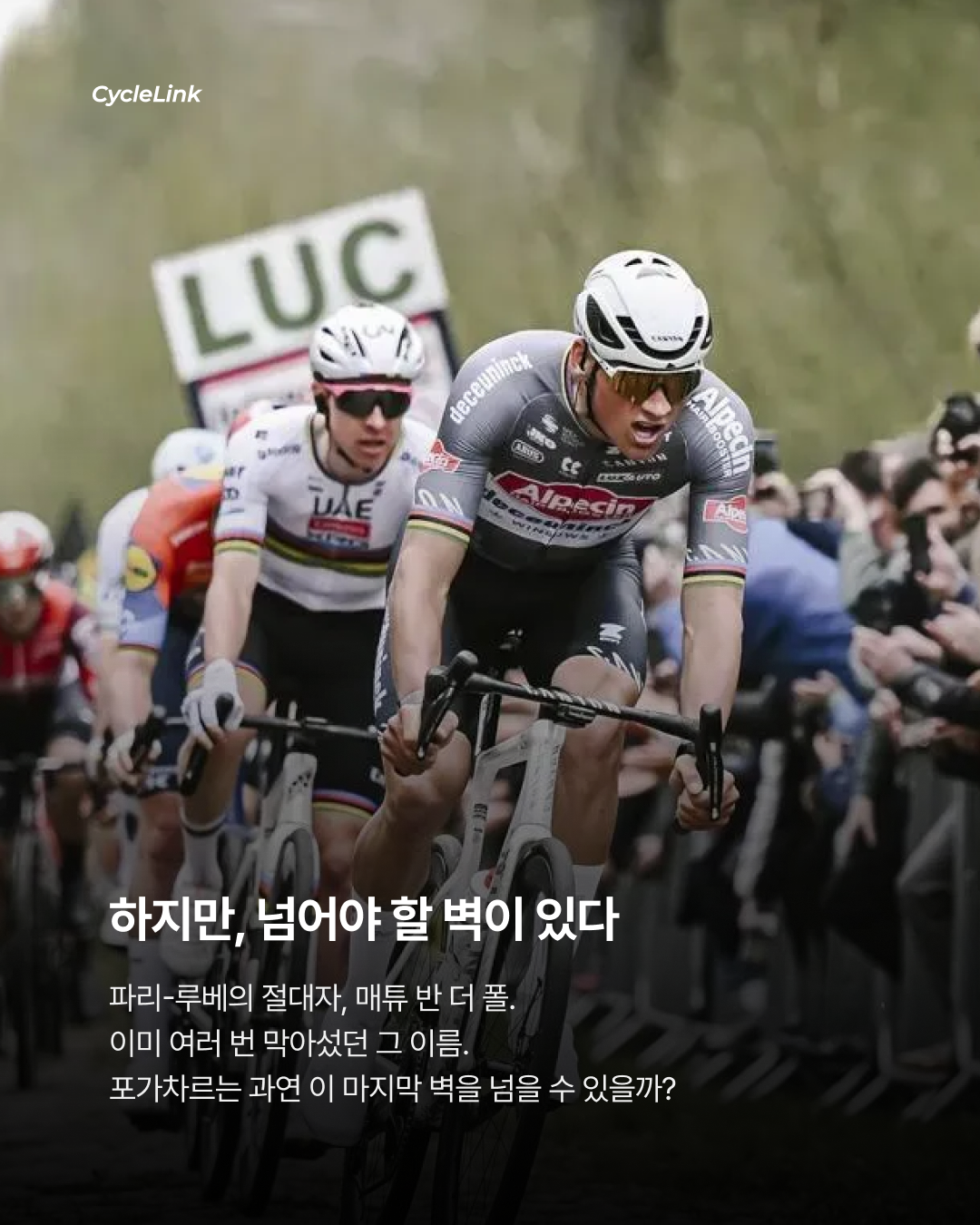 타데이 포가차르, 2026 밀라노-산레모 첫 우승 · 사진 7