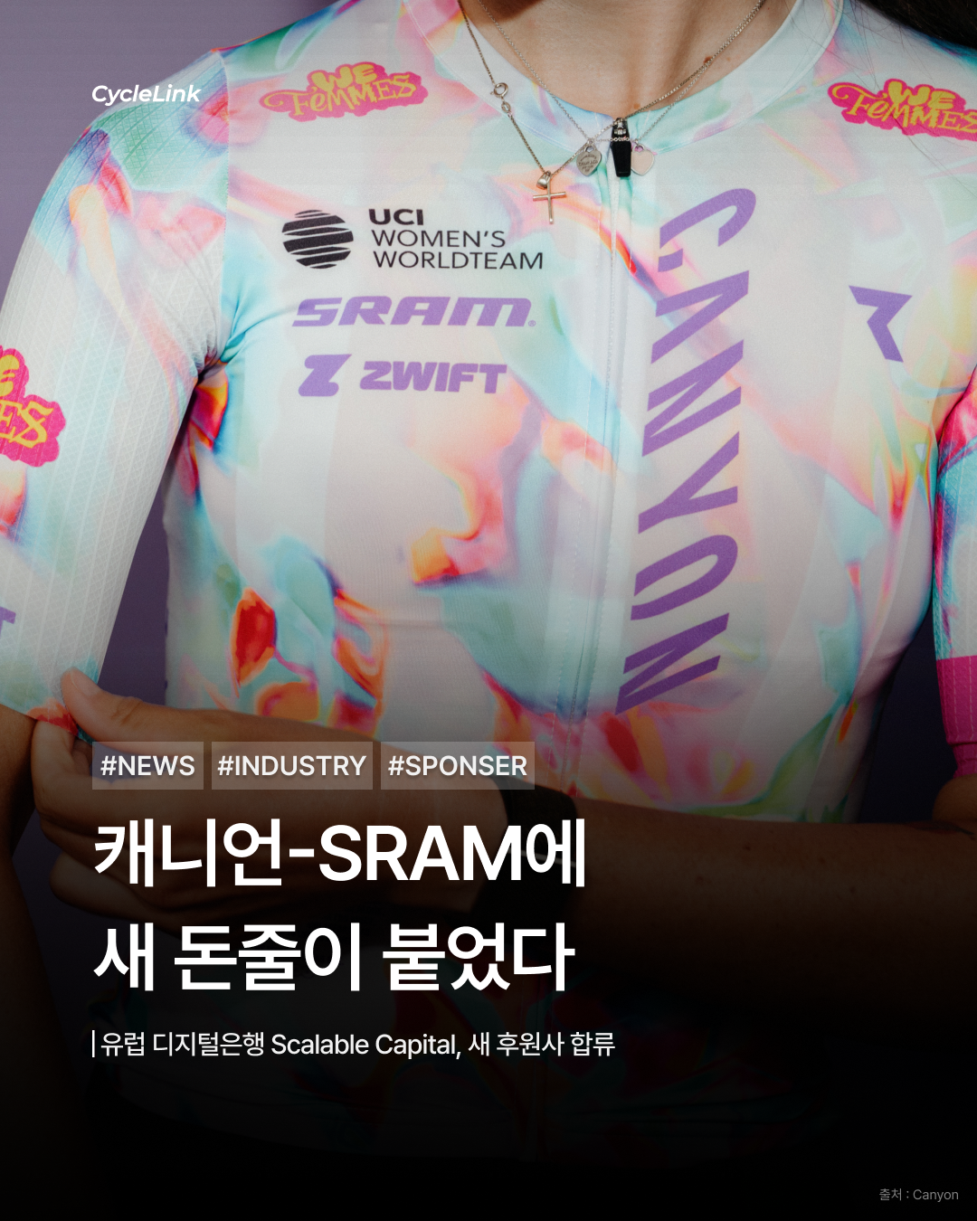 캐니언-SRAM에 새 돈줄이 붙었다 · 사진 1