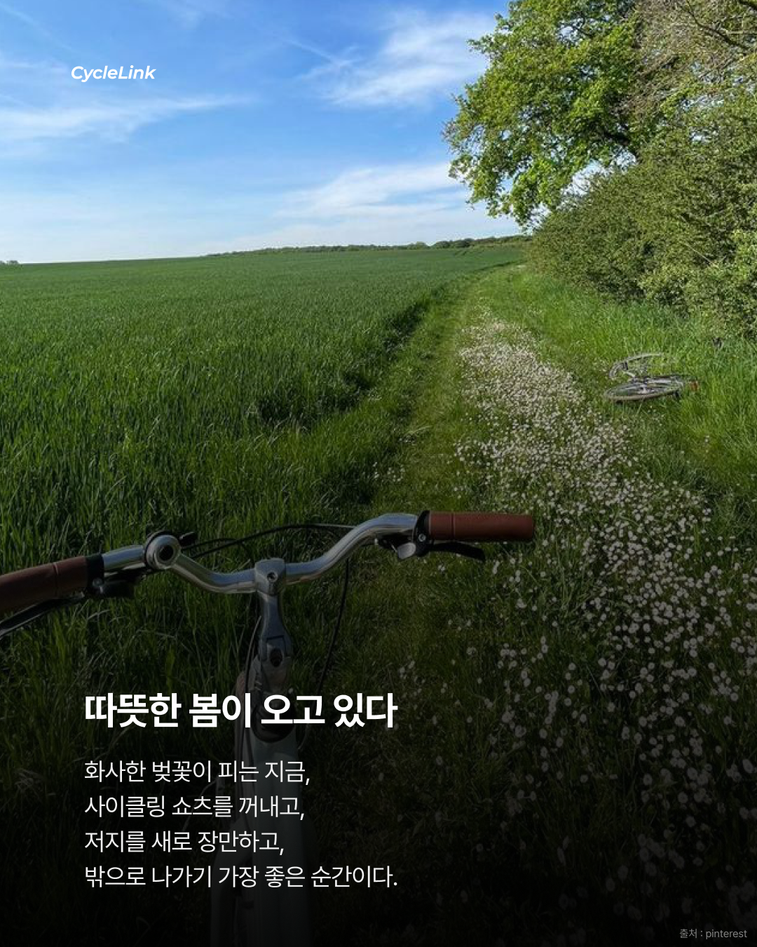 해외에서 다시 시작된 사이클 열풍 · 사진 6