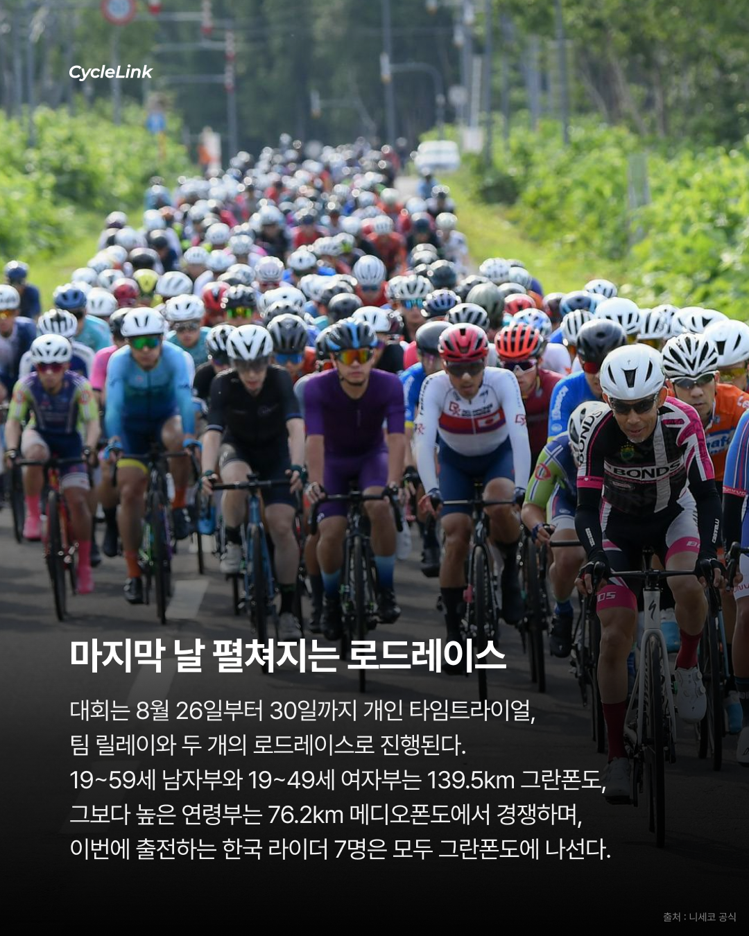 무지개 저지를 향한 한국 동호인 7인의 도전 · 사진 4