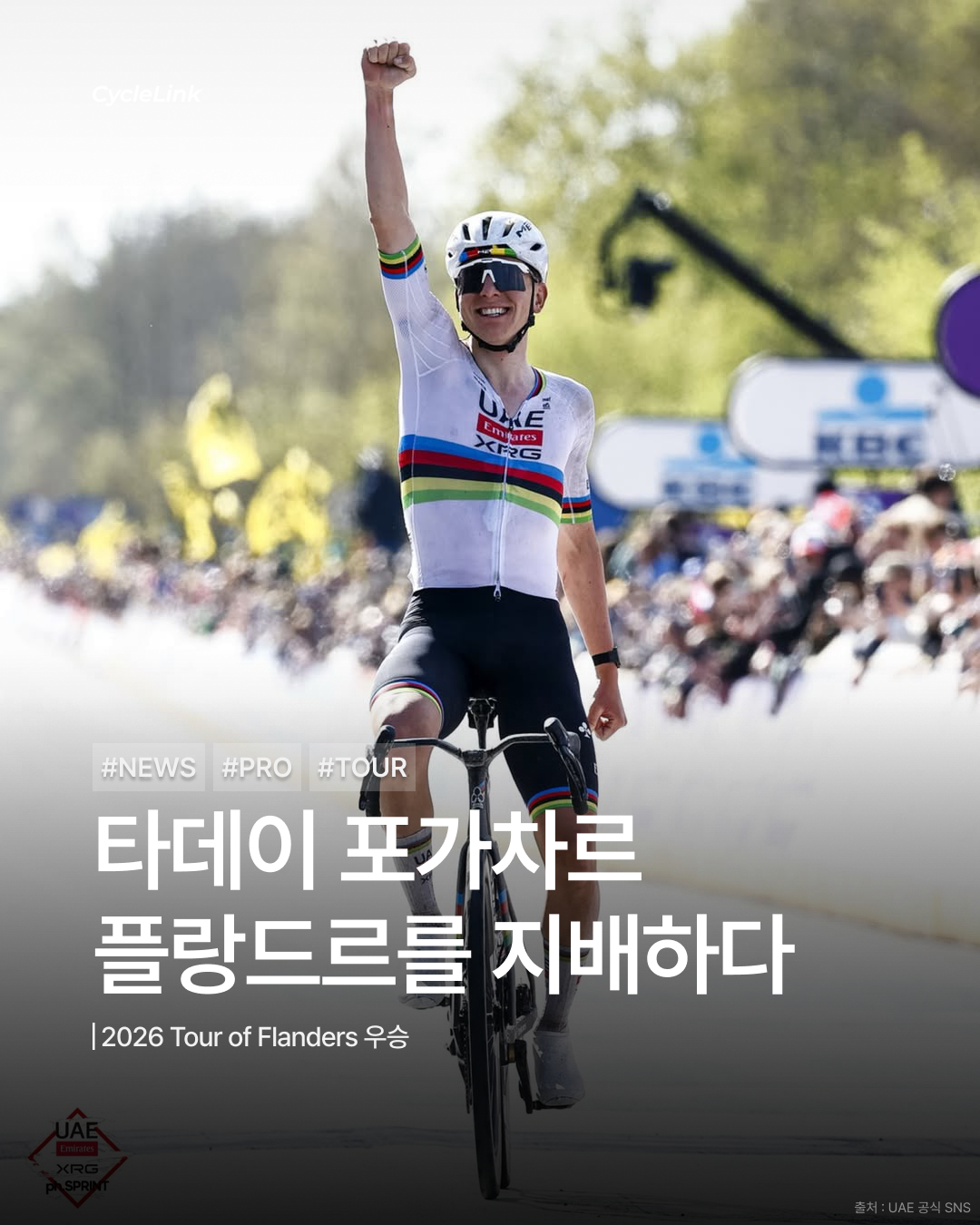 2026 Tour of Flanders, 타데이 포가차르 우승 · 사진 1