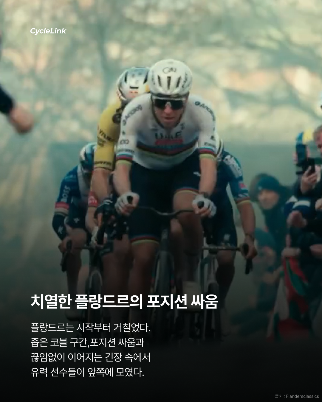 2026 Tour of Flanders, 타데이 포가차르 우승 · 사진 2