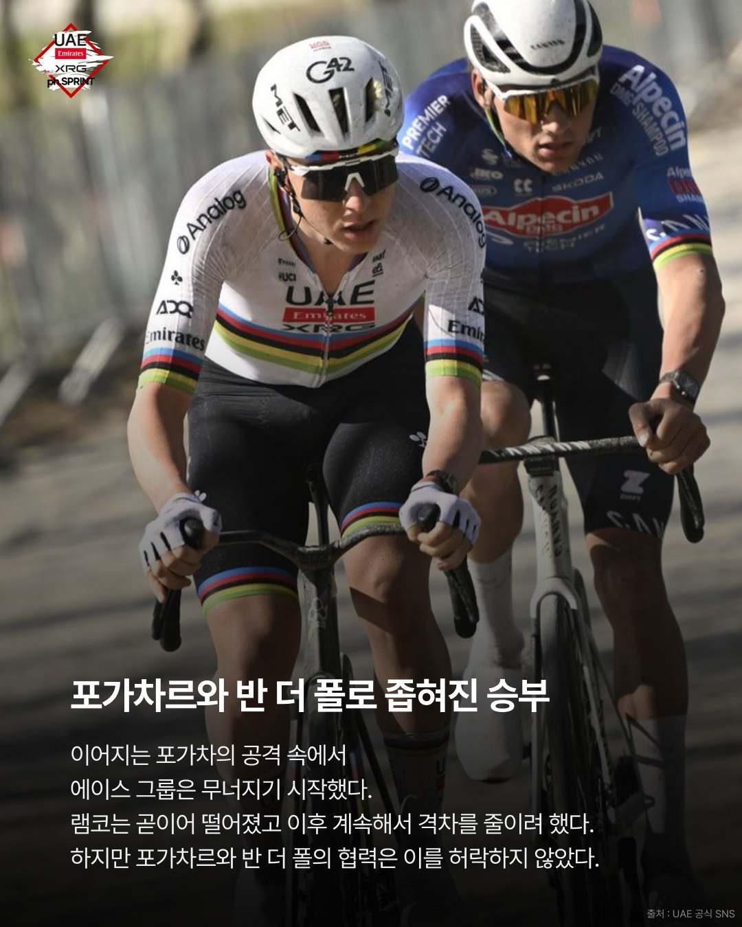 2026 Tour of Flanders, 타데이 포가차르 우승 · 사진 4