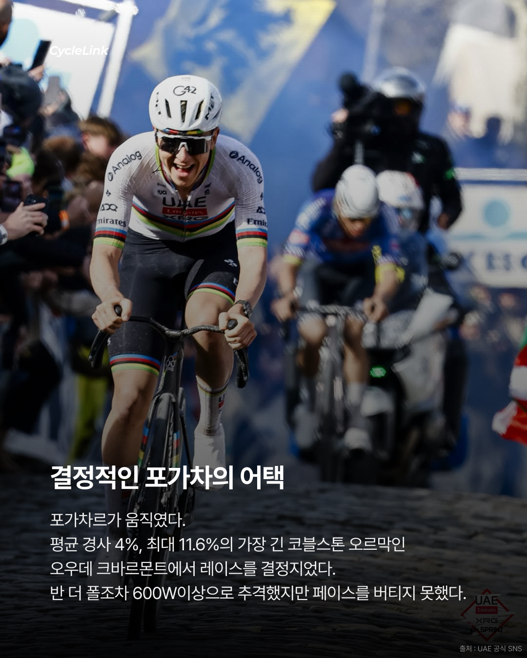 2026 Tour of Flanders, 타데이 포가차르 우승 · 사진 5