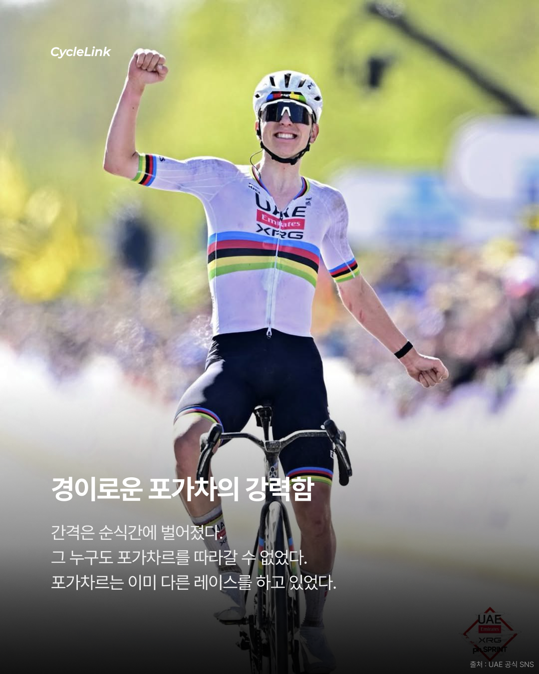 2026 Tour of Flanders, 타데이 포가차르 우승 · 사진 6