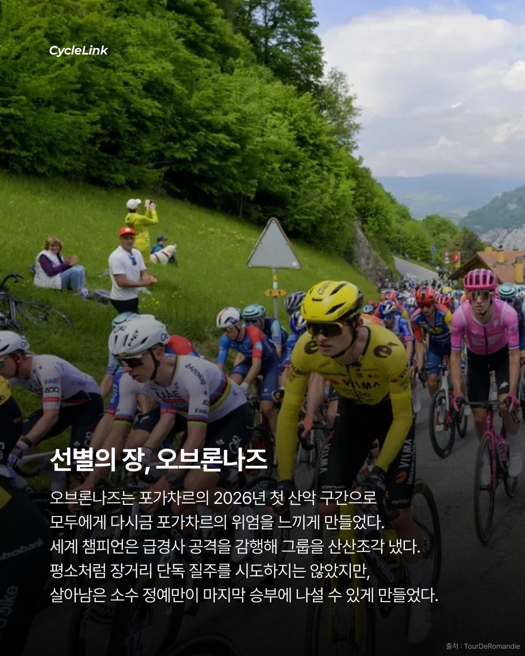 2026 투르 드 로망디 STAGE 1, 포가차르 스프린트 우승 · 사진 4
