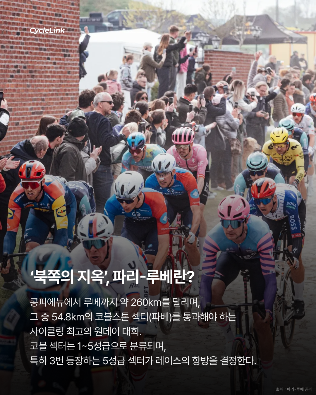 2026 파리-루베 | 와웃 반 아트 우승 · 사진 2