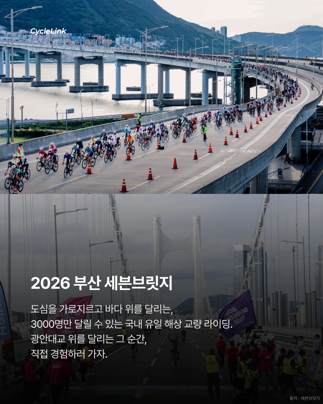부산 세븐브릿지 2026 개최 확정 · 사진 6