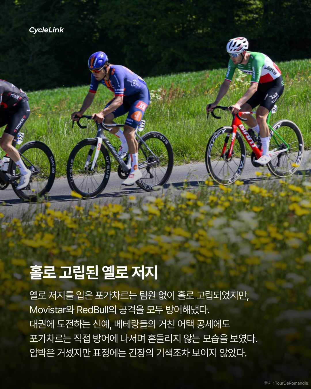모든 어택을 틀어막다 포가차르 2연승 · 사진 5
