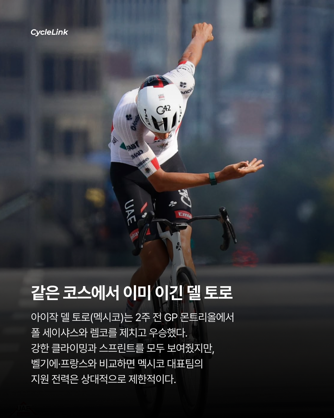 포가차르 없는 월챔, 누가 무지개를 입을까 · 사진 4