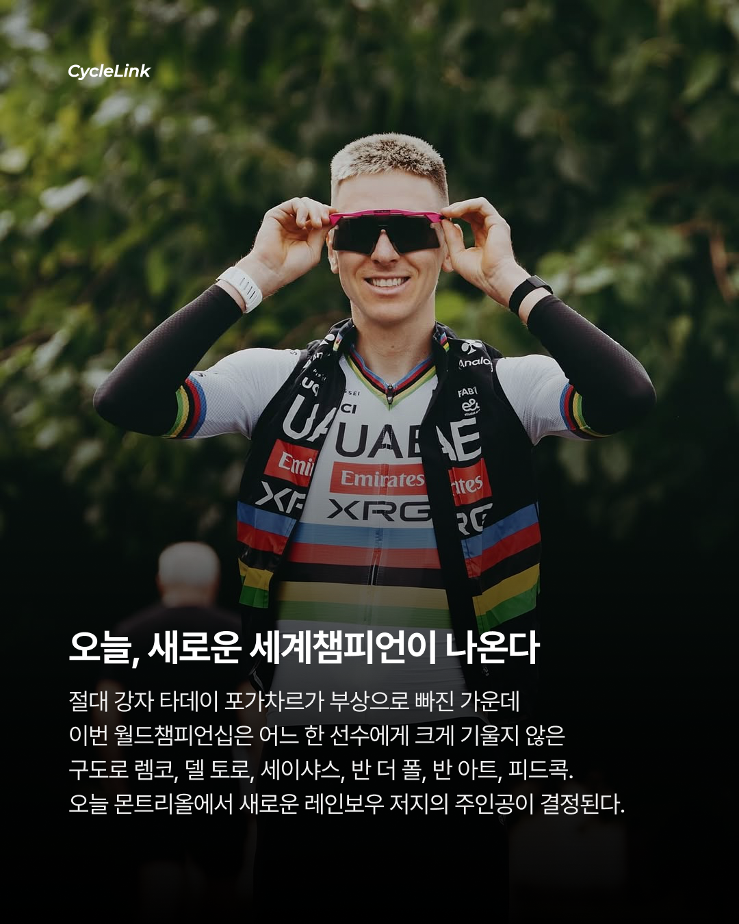 포가차르 없는 월챔, 누가 무지개를 입을까 · 사진 9