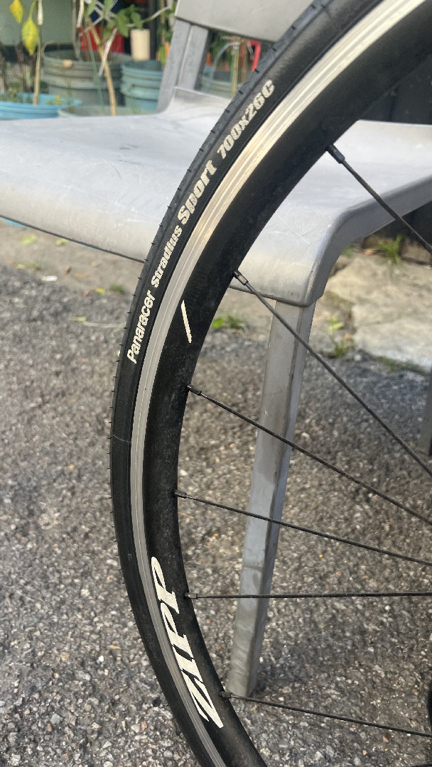 Trek Madone 7 Series (울테그라11단) · 사진 6