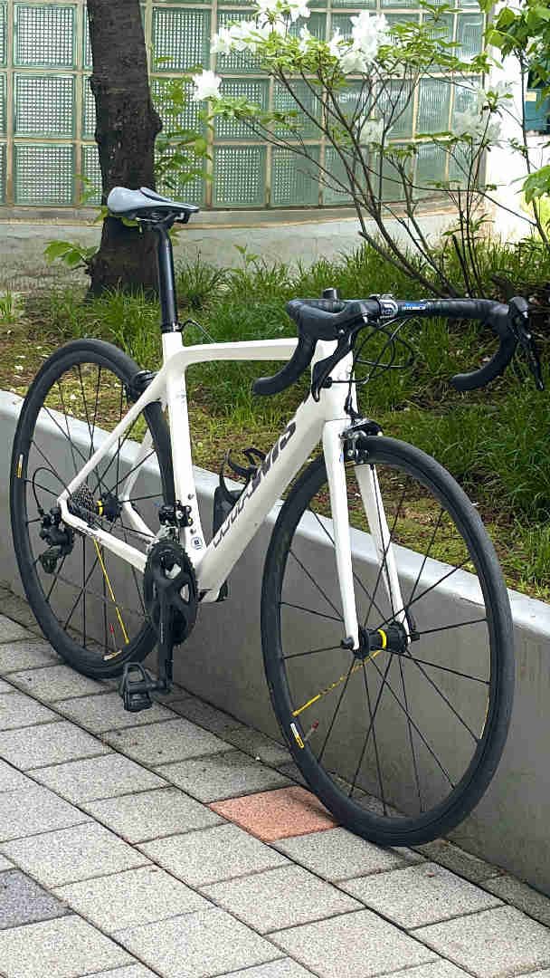 위아위스 프로스트 로드 판매 · 사진 4