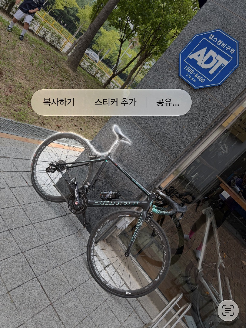 비앙키 스페셜리시마 기함 차대 판매합니다 · 사진 1